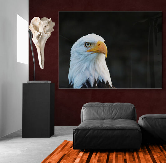 Flight of Freedom- Animal Poster Wall Art