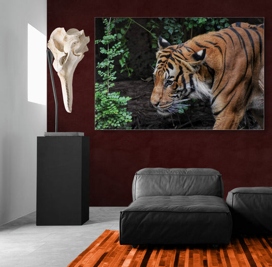 Roar & Silence- Animal Poster Wall Art