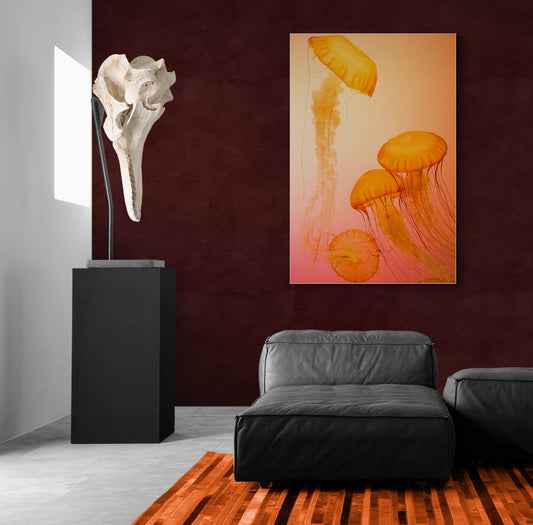 Whiskered Dreams- Animal Poster Wall Art