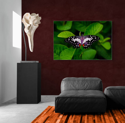 Wings of Wonder- Animal Poster Wall Art