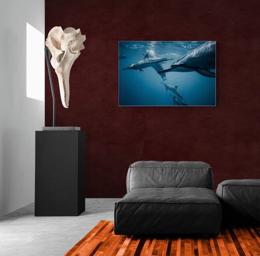 The Majesty Within- Animal Poster Wall Art