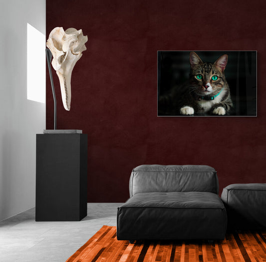 Fur & Freedom - Animal Poster Wall Art