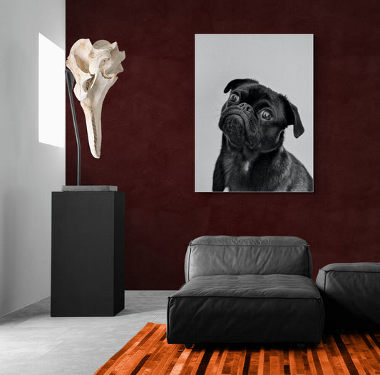 Tamed by Nature - Animal Poster Wall Art