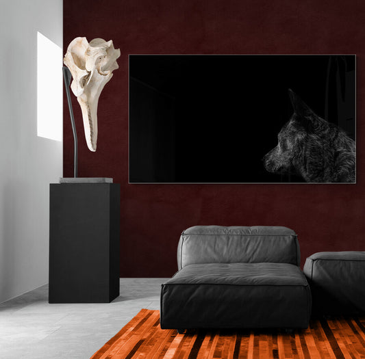 The Silent Stare - Animal Poster Wall Art