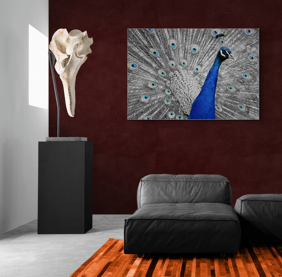 The Regal Roamer - Animal Poster Wall Art
