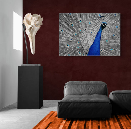 The Regal Roamer - Animal Poster Wall Art