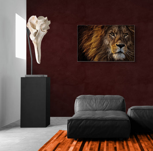 Gaze of the Alpha - Animal Poster Wall Art