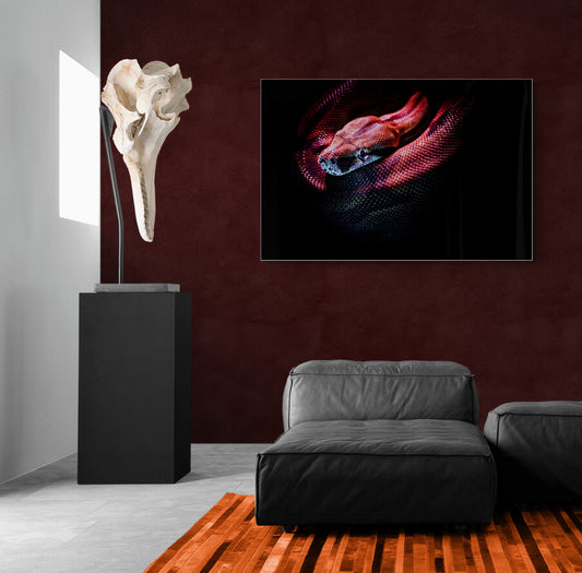 The Velvet Huntress - Animal Poster Wall Art