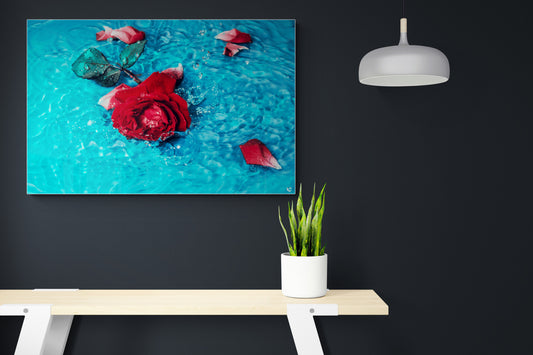 Rose in Water - Water Poster Wall Art