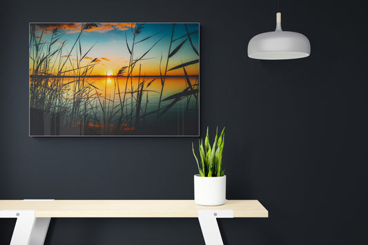 Lake - Water Poster Wall Art