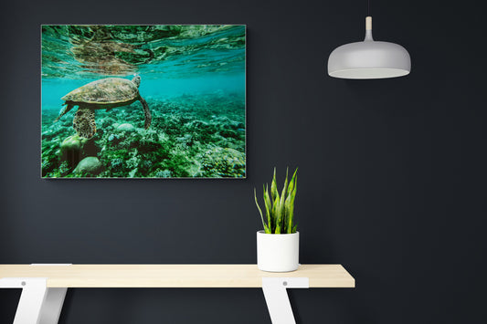 Aqua Aura- Water Poster Wall Art