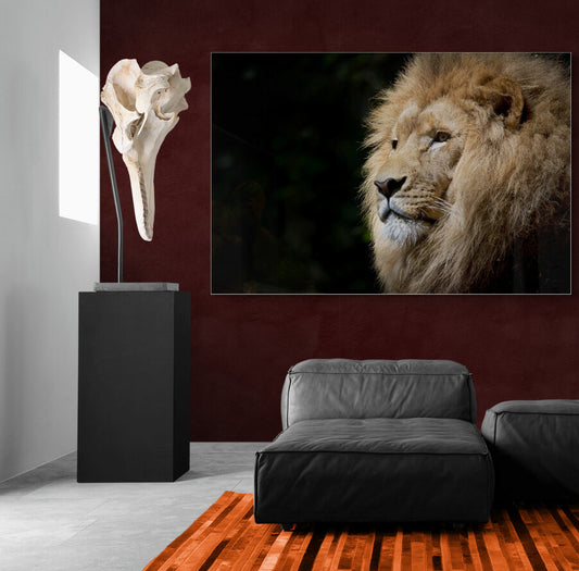 Wild Grace - Animal Poster Wall Art